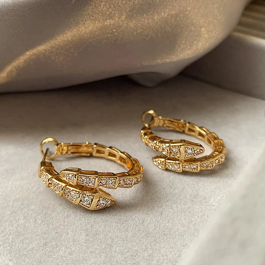 Snake Shaped Zircon Earrings